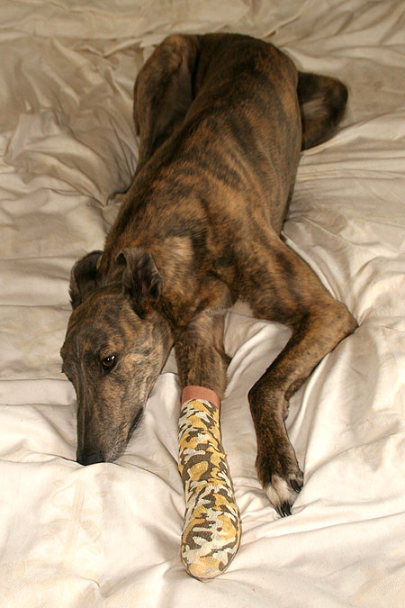 Zak shows of his cool bandage.